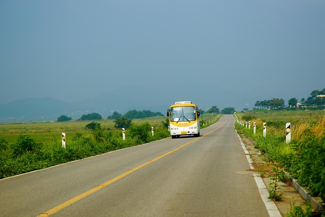 bus